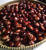 Jengkol
