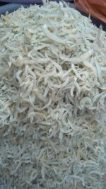 Teri Medan